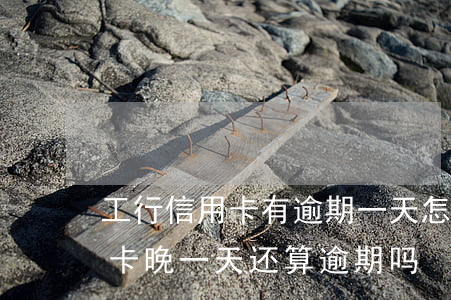 工行信用卡有逾期一天怎么办(工商银行信用卡晚一天还算逾期吗)