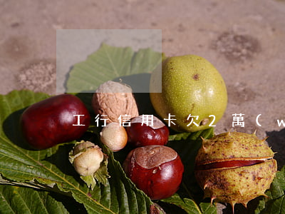 工行信用卡欠2萬(wàn)逾期三年