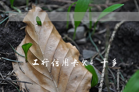 工行信用卡欠4千多