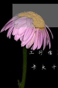 工行信用卡欠十萬什么時候起訴-工行信用卡欠十萬什么時候起訴對方