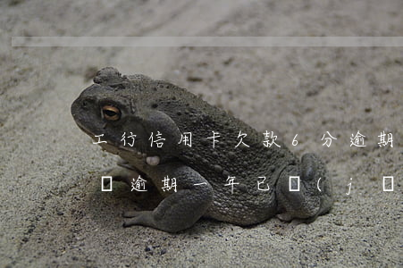 工行信用卡欠款6分逾期6(欠工行信用卡2萬逾期一年已經(jīng)移交法務(wù)部)
