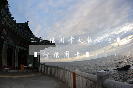 工行信用卡欠款如何協(xié)商(打工商銀行信用卡協(xié)商還款)