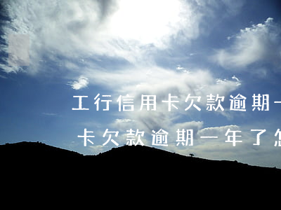 工行信用卡欠款逾期一年了怎么辦(工行信用卡欠款逾期一年了怎么辦)