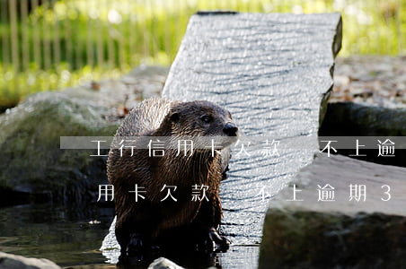 工行信用卡欠款還不上逾期3年了-工行信用卡欠款還不上逾期3年了怎么辦
