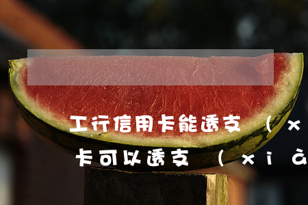 工行信用卡能透支現(xiàn)金嗎(信用卡可以透支現(xiàn)金嗎)