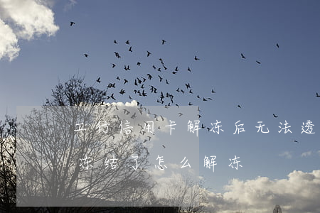 工行信用卡解冻后无法透支(工商银行信用卡冻结了怎么解冻)