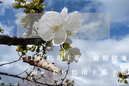 工行信用卡賬戶逾期被凍結(jié)怎么辦-工行信用卡賬戶逾期被凍結(jié)怎么辦理