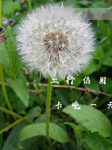 工行信用卡超幾天算是逾期(工商銀行卡信用卡晚一天還算逾期嗎)