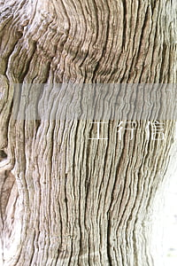 工行信用卡还款逾期会怎样