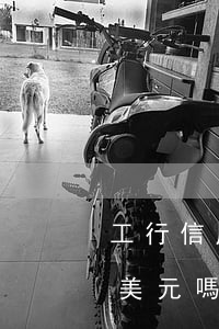 工行信用卡透支500美元(工行借記卡能收美元嗎)