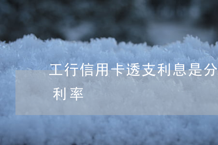 工行信用卡透支利息是分期(工商银行卡分期利率)