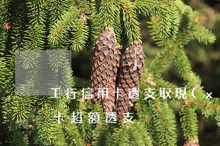 工行信用卡透支取現(xiàn)超限(信用卡超額透支)