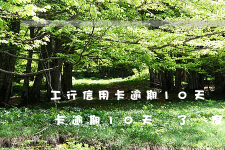 工行信用卡逾期10天還了額度-工行信用卡逾期10天還了額度會恢復(fù)嗎