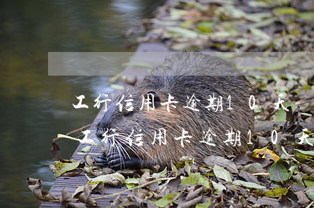 工行信用卡逾期10天還款后卡還有額度嗎（工行信用卡逾期10天）
