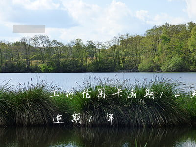 工行信用卡逾期12天-工行10萬信用卡逾期1年