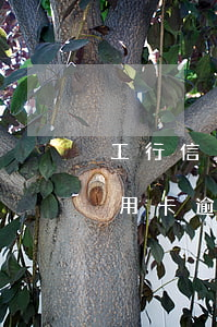 工行信用卡逾期150天会怎么样-工行信用卡逾期150天会怎么样吗