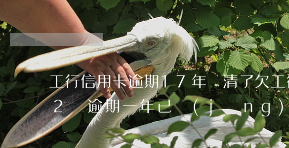 工行信用卡逾期17年還清了(欠工行信用卡2萬逾期一年已經(jīng)移交法務(wù)部)