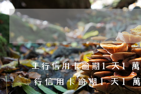 工行信用卡逾期1天,1萬收多少滯納金-工行信用卡逾期1天,1萬收多少滯納金呢