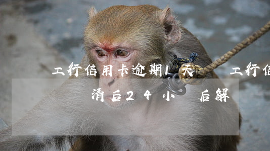 工行信用卡逾期1天凍結(工行信用卡逾期凍結還清后24小時后解凍)