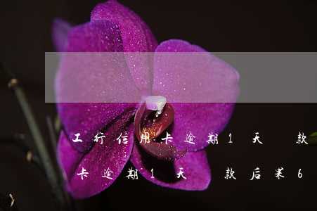 工行信用卡逾期1天還款后果6-工行信用卡逾期1天還款后果6天還清