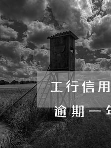 工行信用卡逾期1小時(工行信用卡5000逾期一年半)