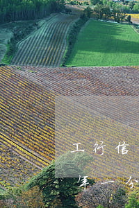 工行信用卡逾期1年還款(工行信用卡逾期三年一分錢沒(méi)還)