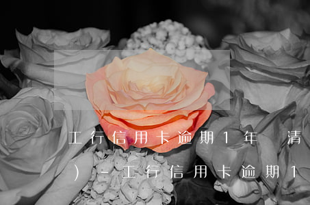 工行信用卡逾期1年還清了被凍結(jié)-工行信用卡逾期1年還清了被凍結(jié)怎么辦
