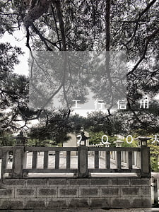 工行信用卡逾期20000(工行信用卡逾期200天可以分期嗎)
