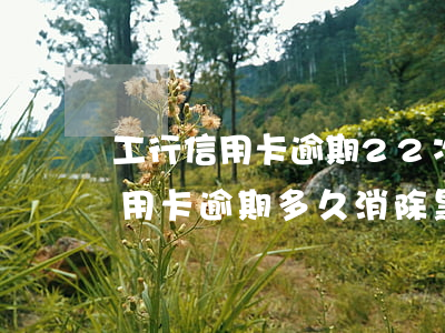 工行信用卡逾期22次黑名單(2018年信用卡逾期多久消除黑名單)