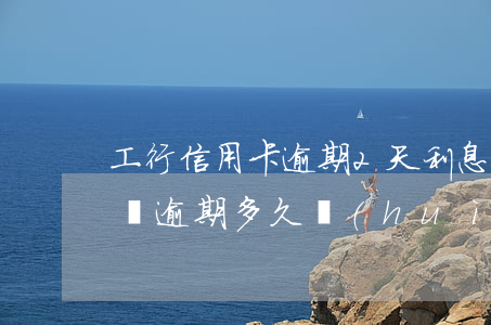 工行信用卡逾期2天利息(工商銀行信用卡2萬逾期多久會(huì)被起訴)