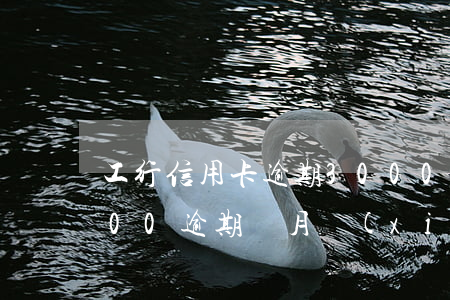 工行信用卡逾期3000多(工行信用卡1000逾期倆月現(xiàn)在應(yīng)該還多少錢)