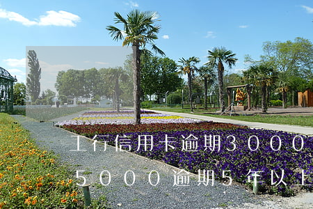 工行信用卡逾期3000怎么辦(工行信用卡5000逾期5年以上)