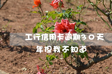 工行信用卡逾期30天凍結了(工行卡逾期十來年但我不知道)
