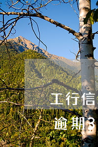 工行信用卡逾期35天好解冻吗(工行信用卡逾期35天好解冻吗)