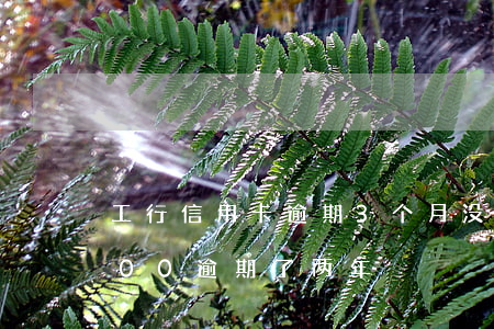 工行信用卡逾期3个月没还(工行信用卡3000逾期了两年)