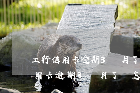 工行信用卡逾期3個月了會怎么樣-工行信用卡逾期3個月了會怎么樣嗎