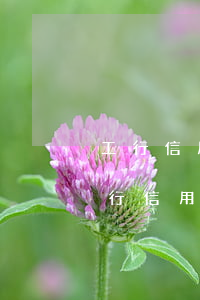 工行信用卡逾期3個月被凍結(jié) 工行信用卡逾期3個月被凍結(jié)