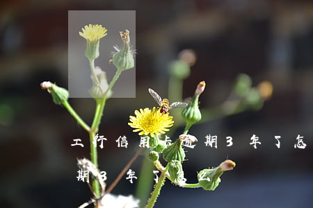 工行信用卡逾期3年了怎么辦 工行信用卡逾期3年了怎么辦
