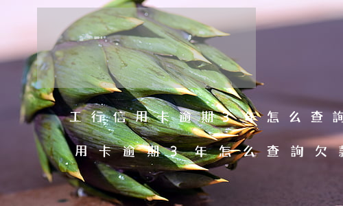 工行信用卡逾期3年怎么查詢欠款-工行信用卡逾期3年怎么查詢欠款記錄