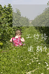 工行信用卡逾期40天凍結(jié)(工行逾期90天信用卡解凍)