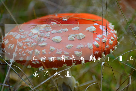 工行信用卡逾期45萬 工行卡逾期十來年但我不知道