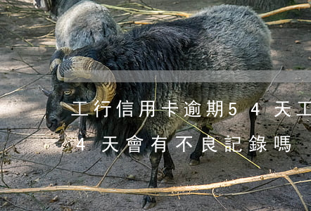 工行信用卡逾期54天(工商銀行信用卡逾期4天會有不良記錄嗎)