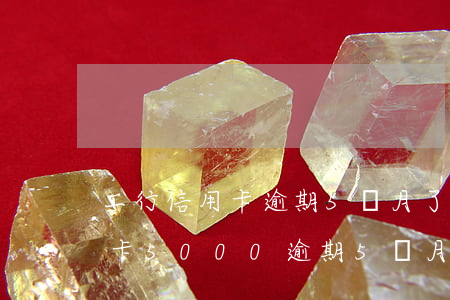 工行信用卡逾期5個月了還能用嗎(工商信用卡5000逾期5個月)