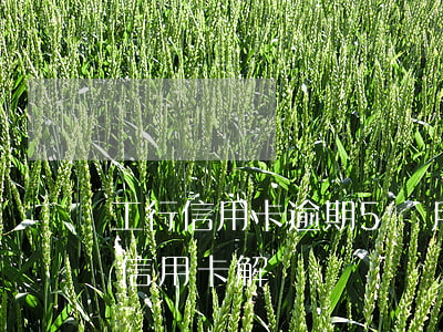 工行信用卡逾期5個月解凍(工行逾期90天信用卡解凍)