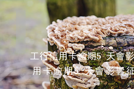 工行信用卡逾期5天會影響征信嗎-工行信用卡逾期5天會影響征信嗎知乎
