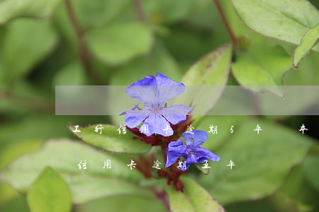工行信用卡逾期5年還本金(在中國工商銀行信用卡逾期五年)
