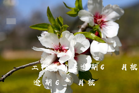 工行信用卡逾期6個月被凍結-工行信用卡逾期6個月被凍結
