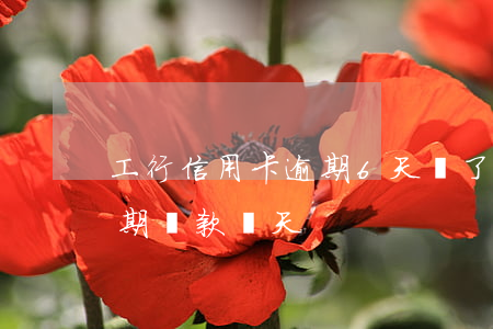 工行信用卡逾期6天還了(工行信用卡可以逾期還款幾天)