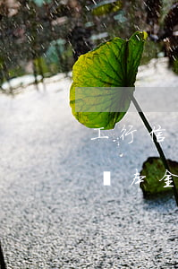 工行信用卡逾期6天還(工行信用卡逾期6天還本金)