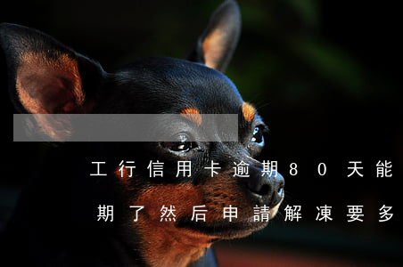 工行信用卡逾期80天能解凍嗎(工商銀行逾期了然后申請解凍要多久?)